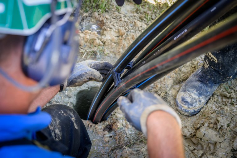 terraisto_brax_aout2023_HD-100